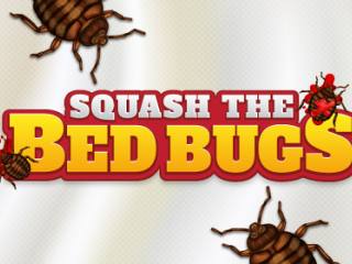 Squash The Bed Bugs