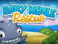 Baby Whale Rescue